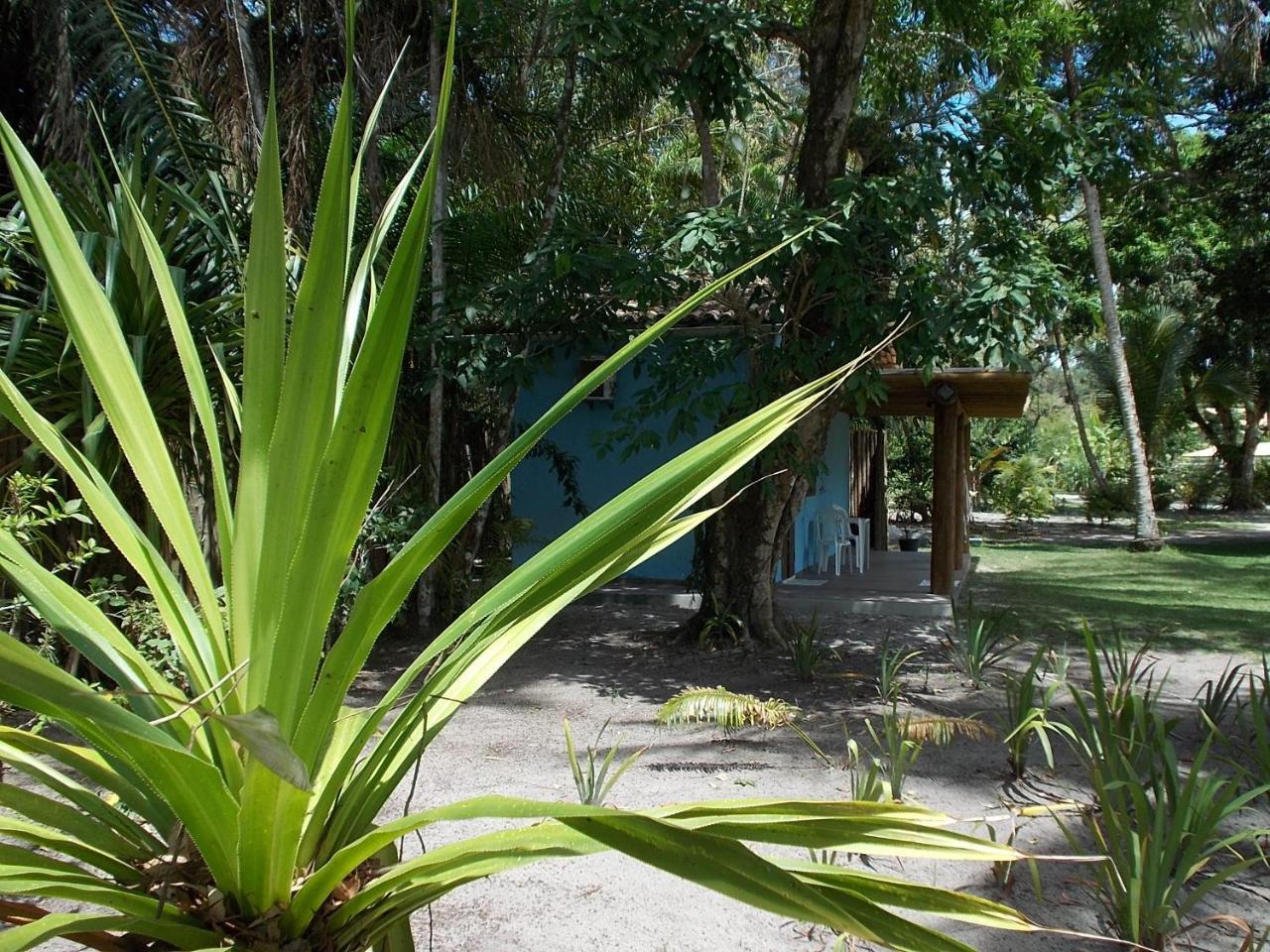 Onca 1024 Villa Trancoso Exterior photo